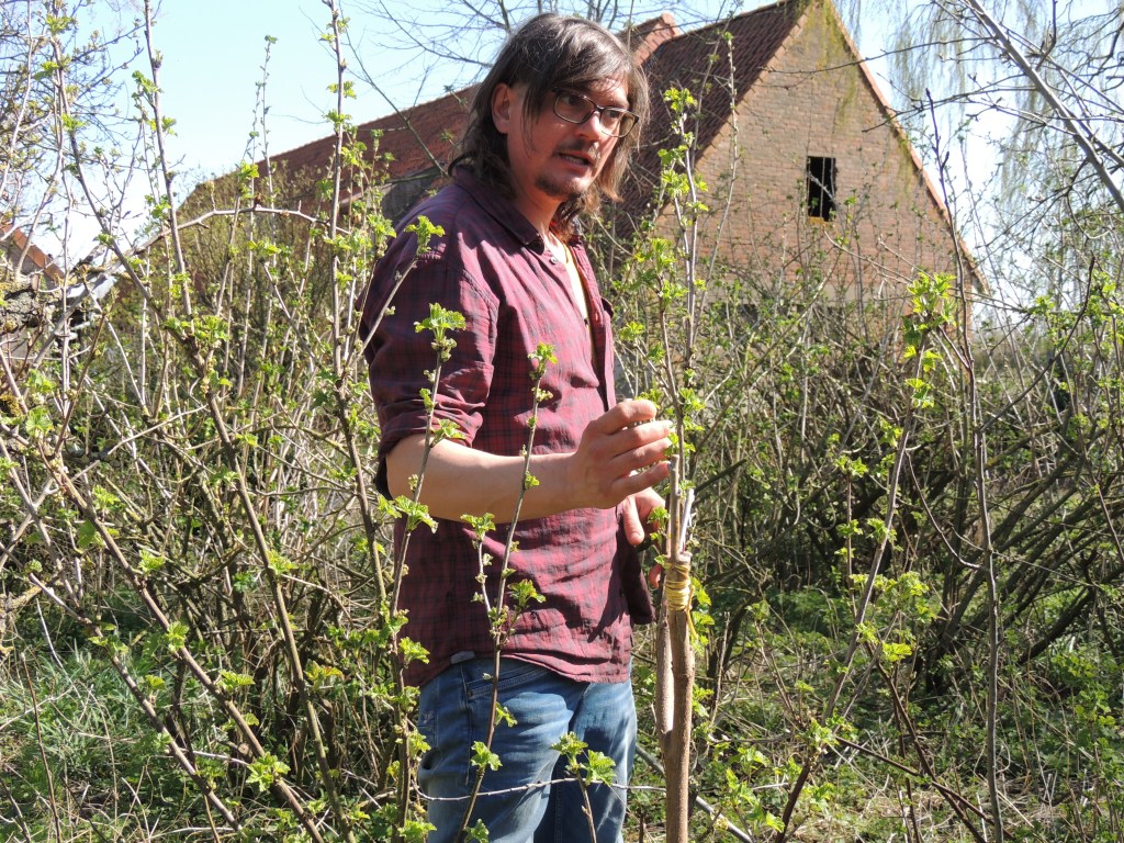 voedselbos-woudezel-lessenreeks